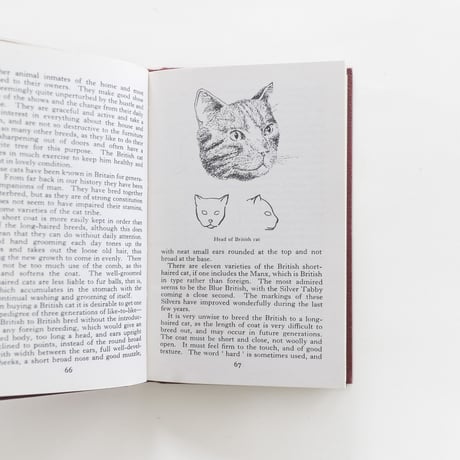 『The Observer's Book：Cats』
