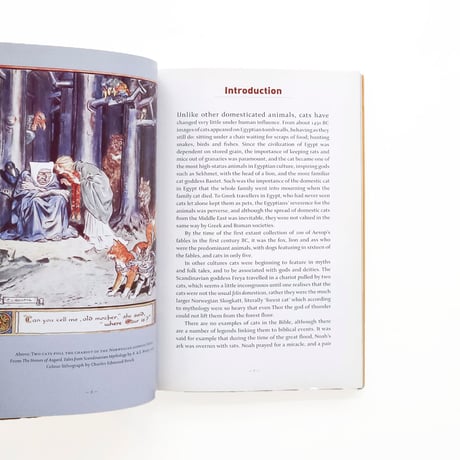 『Puss in Books: Cat Illustration Through the Ages』