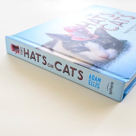 『Tiny Hats on Cats』