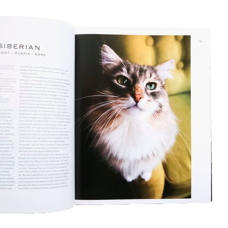 『The Elegance of the Cat: An Illustrated History』