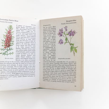 『The Observer's Book：House Plants』