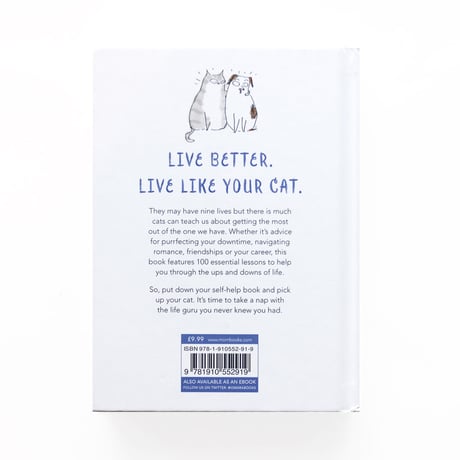『Life Lessons I Learned from my Cat』
