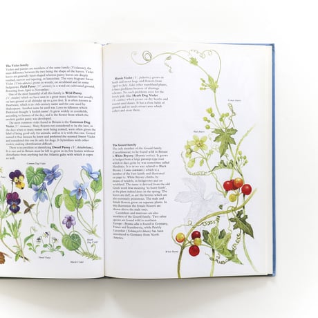 『Portraits of Wild Flowers』