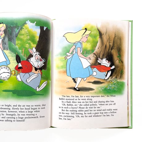 『Alice Meets the White Rabbit』