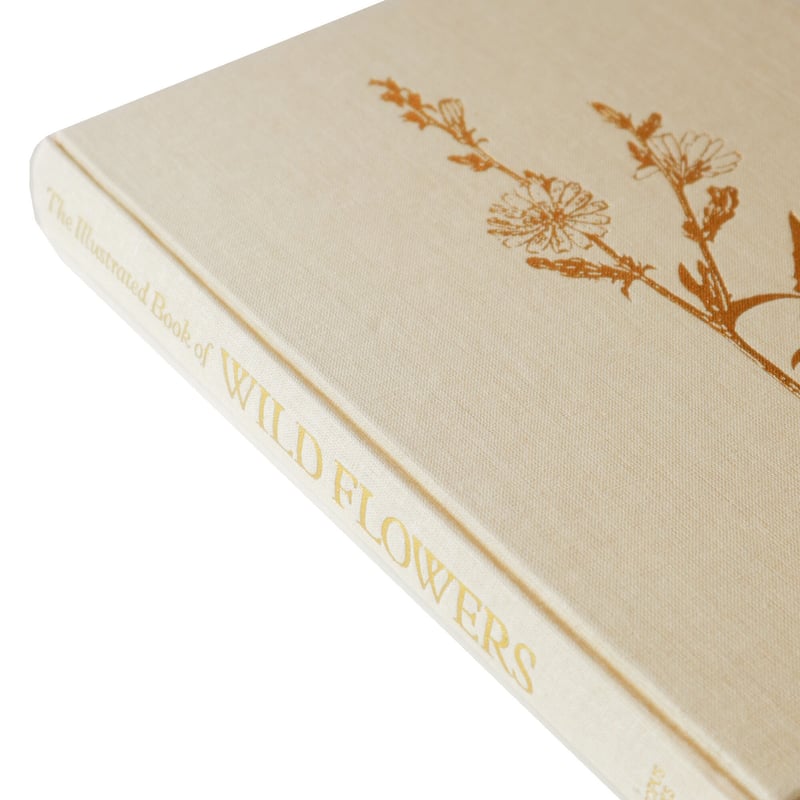 Illustrated Book of Wild Flowers』 | Reading Mug