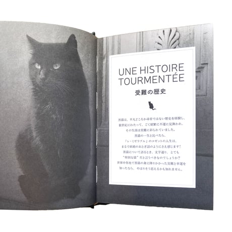 『月夜の黒猫事典 知られざる歴史とエピソード』
