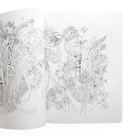 『Floribunda Year：A Flower Colouring Companion』