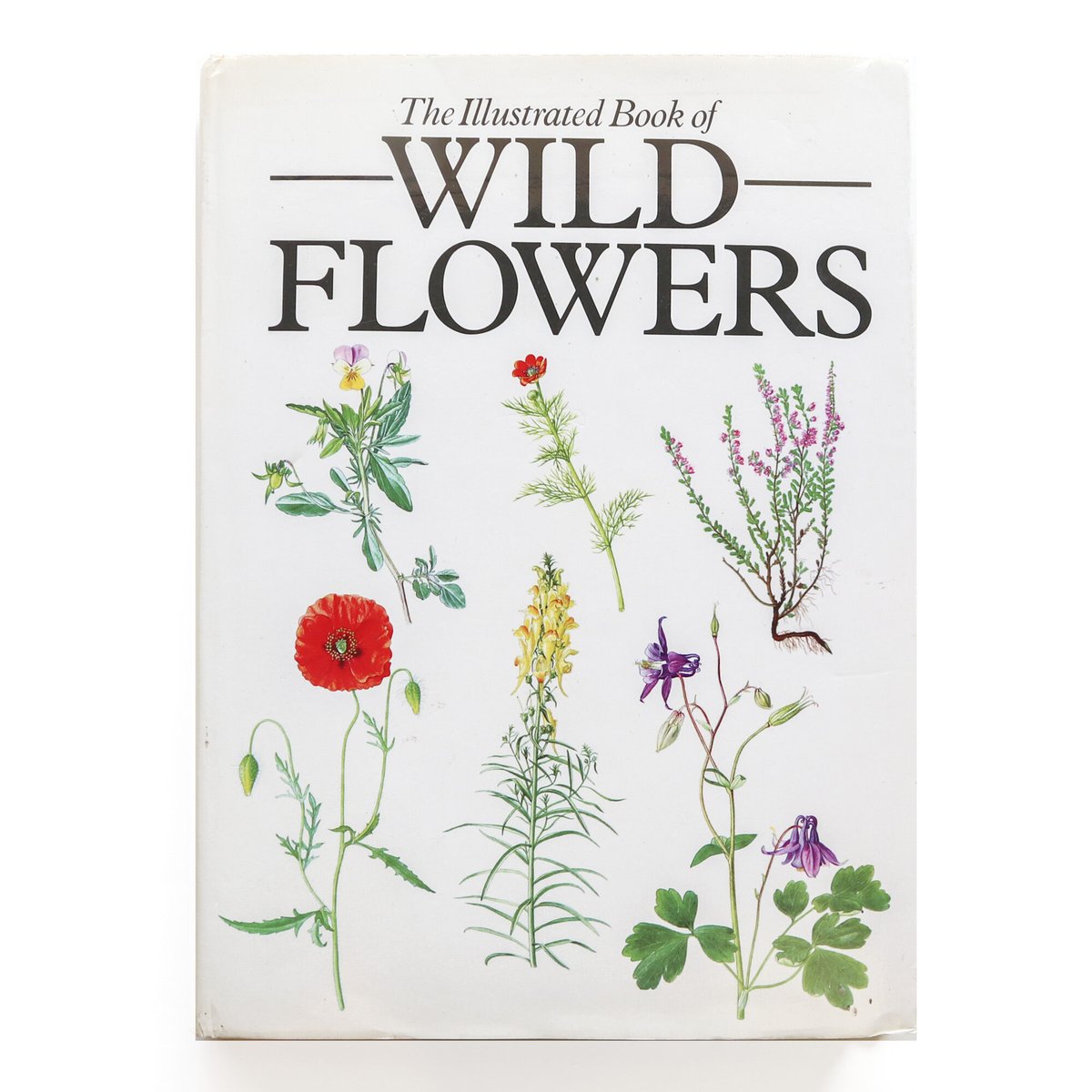 Illustrated Book of Wild Flowers』 | Reading Mug