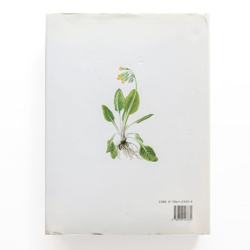 花を摘みかに』 エルネスト・クライドワース 絵本 花を摘みかに