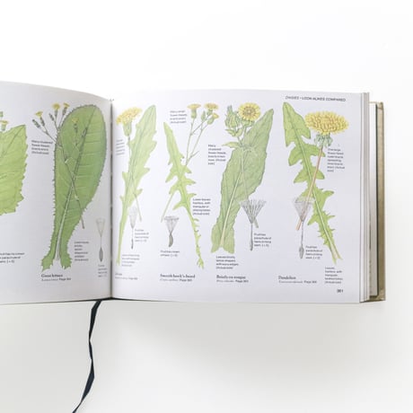 『Field Guide to the Wild Flowers of Britain』