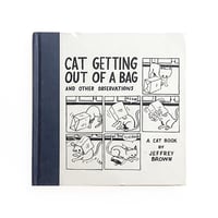 『Cat Getting Out of a Bag and Other Observations』