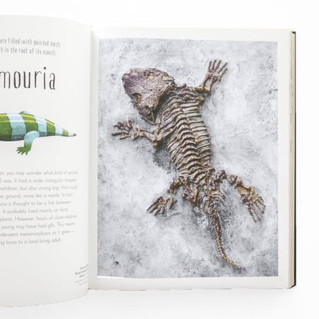 『Dinosaurs and other Prehistoric Life』