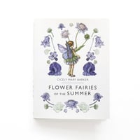 『Flower Fairies of the Summer』