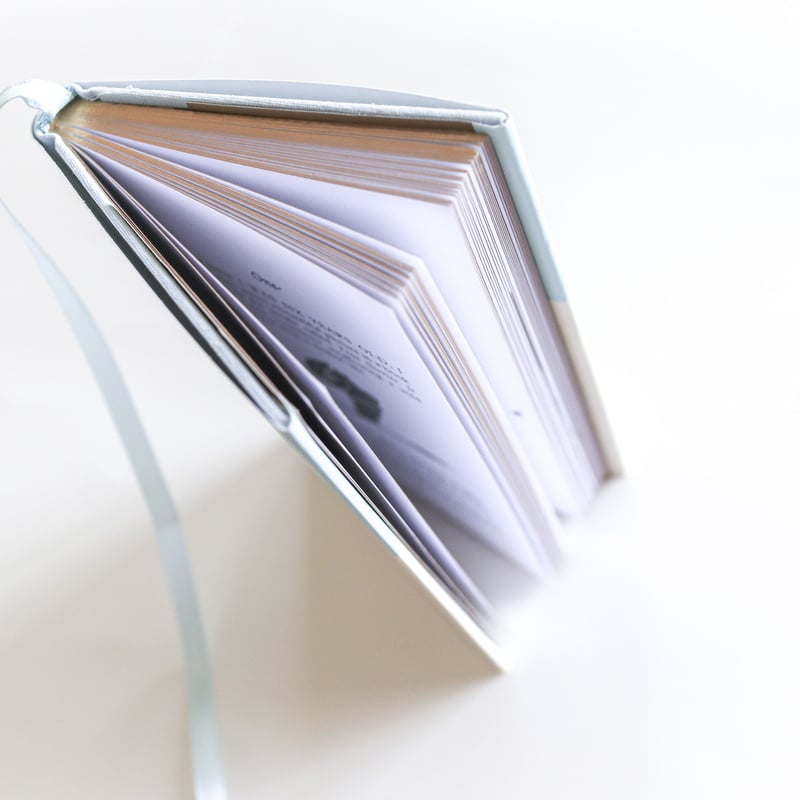 The Little Prince：Macmillan Collector's Librar