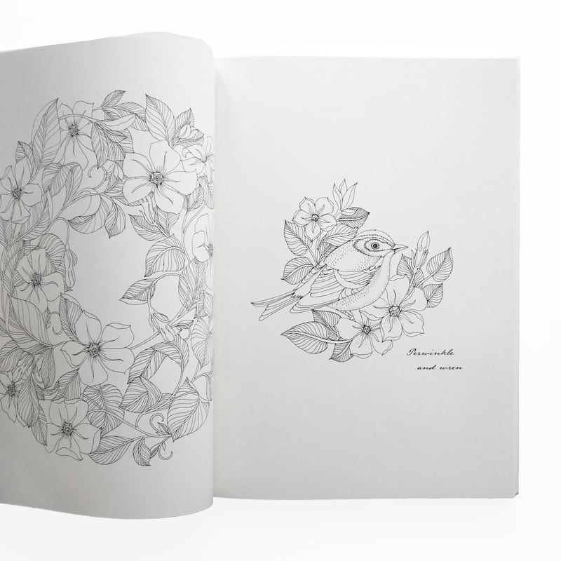 Floribunda Year：A Flower Colouring Companion』