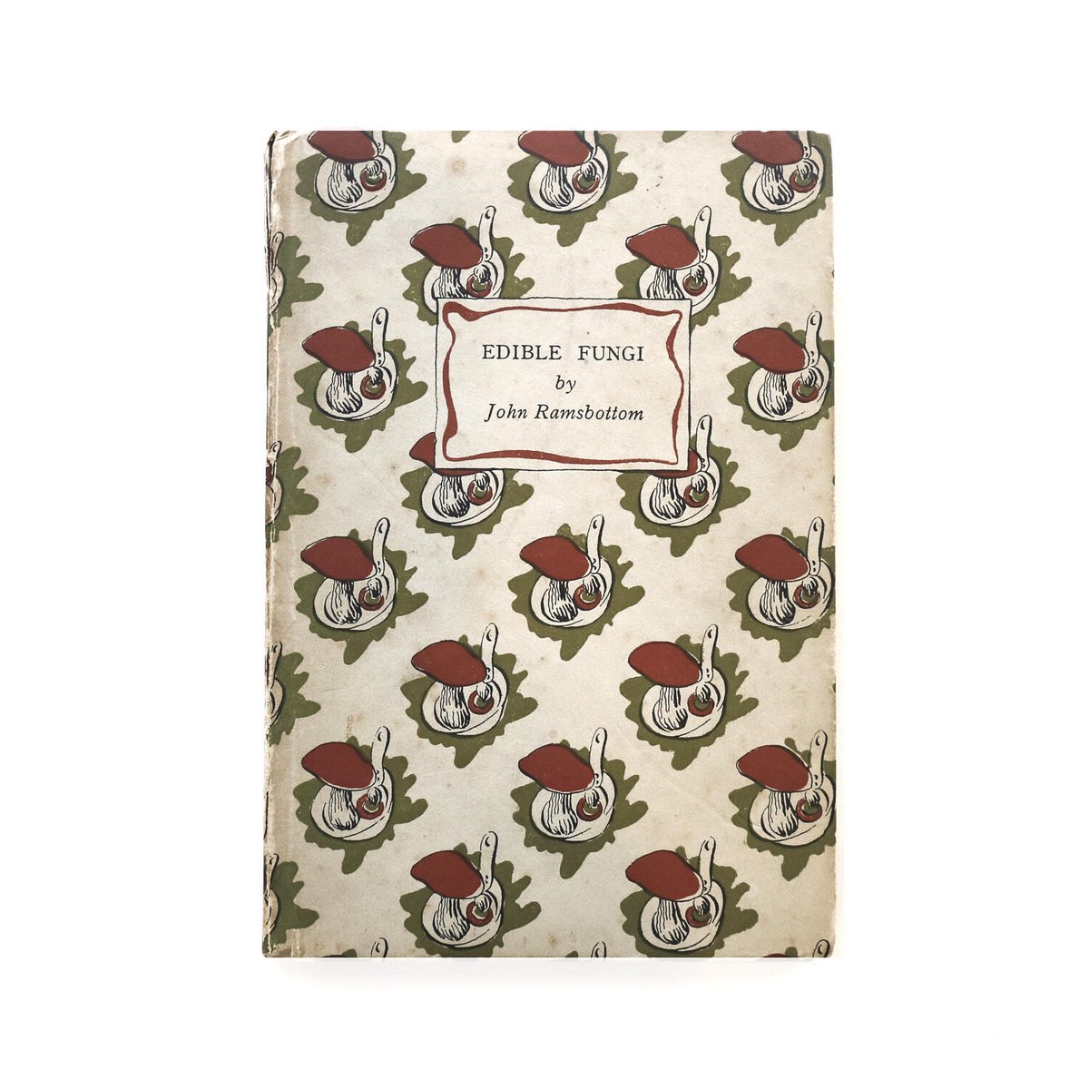 King Penguin：Edible Fungi』 | Reading Mug