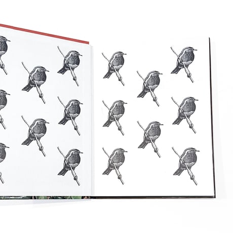 『Robins（British Natural History Series）』