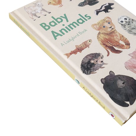 『A Ladybird Book：Baby Animals』