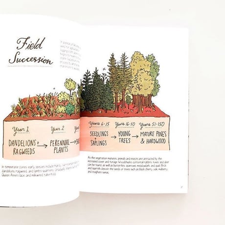 『Nature Anatomy』The Curious Parts & Pieces of the Natural World