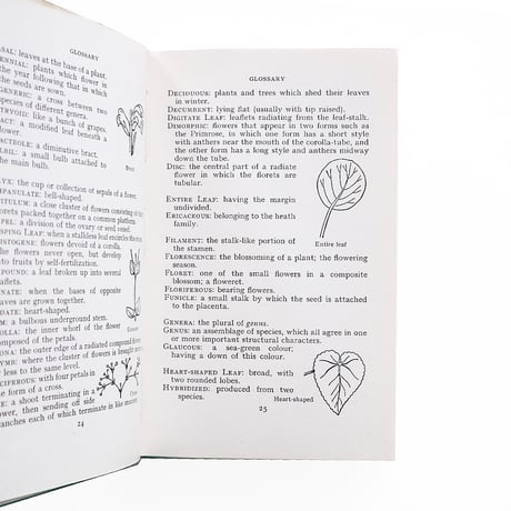 『The Observer's Book of Garden Flowers』