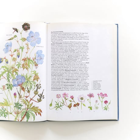 『Portraits of Wild Flowers』