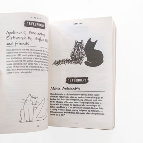 『A Cat A Day：365 stories of fascinating felines to brighten every day』