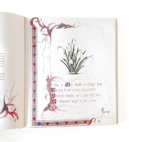『The Country Flowers of a Victorian Lady』