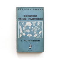 『Common Wild Flowers』
