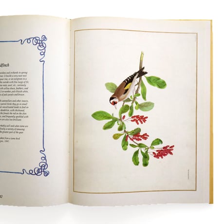 『British birds from nature』