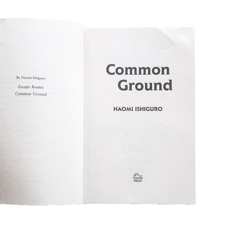 『Common Ground』