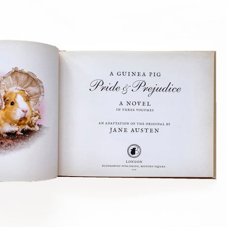 『A Guinea Pig Pride & Prejudice』