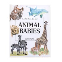 『Animal Babies：Nature Club』