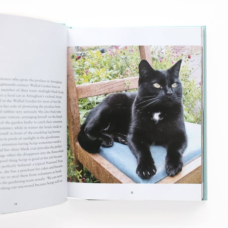 『Cats of the National Trust』