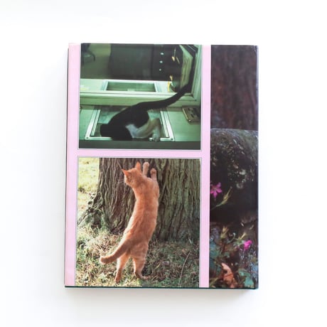 『The English Cat at Home』