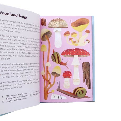 『A Ladybird Book：What to Look For in Winter』