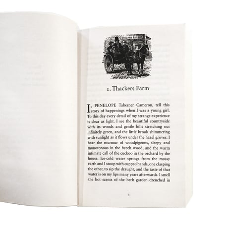『A Traveller in Time』