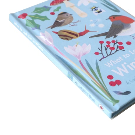 『A Ladybird Book：What to Look For in Winter』