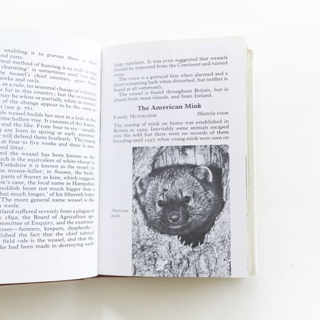 『The Observer's Book：Wild Animals』