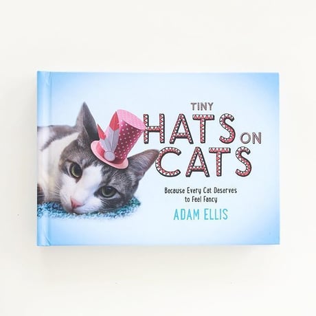 『Tiny Hats on Cats』