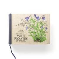 『Field Guide to the Wild Flowers of Britain』