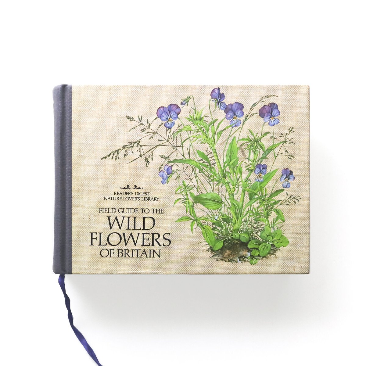 海外購入 洋書 Wildflowers in Watercolour＊インテリア 海外購入 洋書