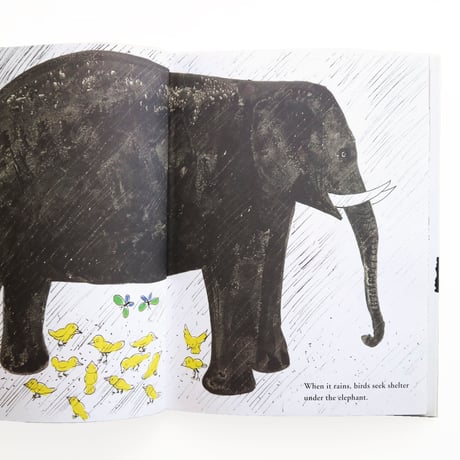 『Bruno Munari's Zoo』