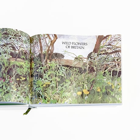『Field Guide to the Wild Flowers of Britain』