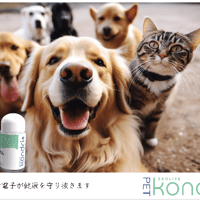 【kondriプラス】ペット用(容器がジップ袋に変更)
