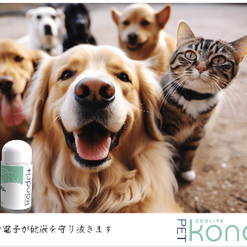 新品未使用 コンドリプラスペット ペット用サプリメント kondriプラス】ペット用(容器がジップ袋に変更) | MEDI PRANA