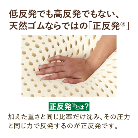 [Bodydoctor] ドクターパッド