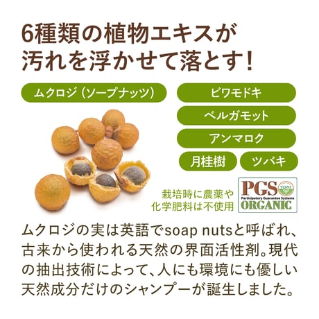 ※発送条件あり【限定30個】SOAP NUTS SHAMPOO（モニター品）