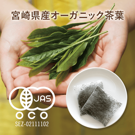 KYUSHU RYOKU茶（おためし用）