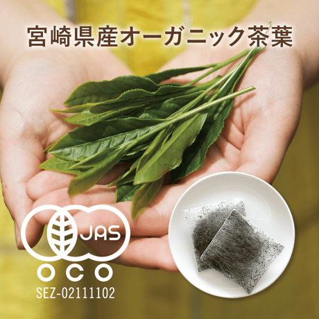 ROASTED RYOKU茶300