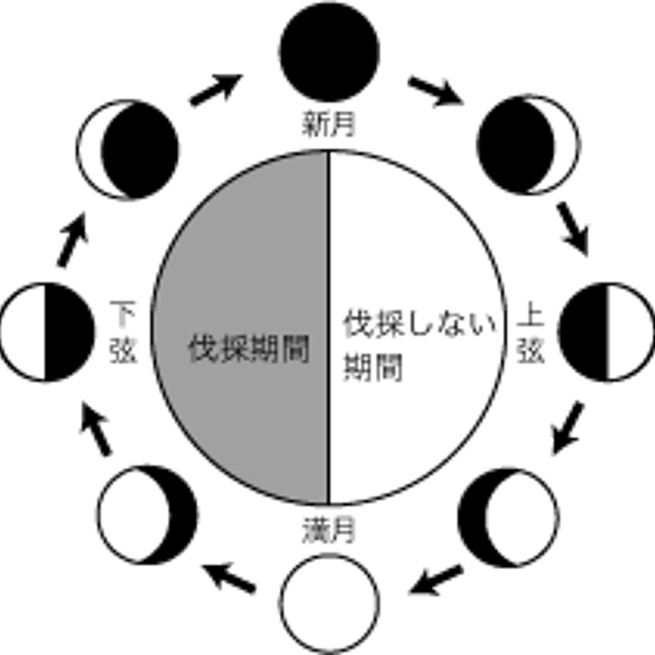 5b4616f85496ff4cae002742
